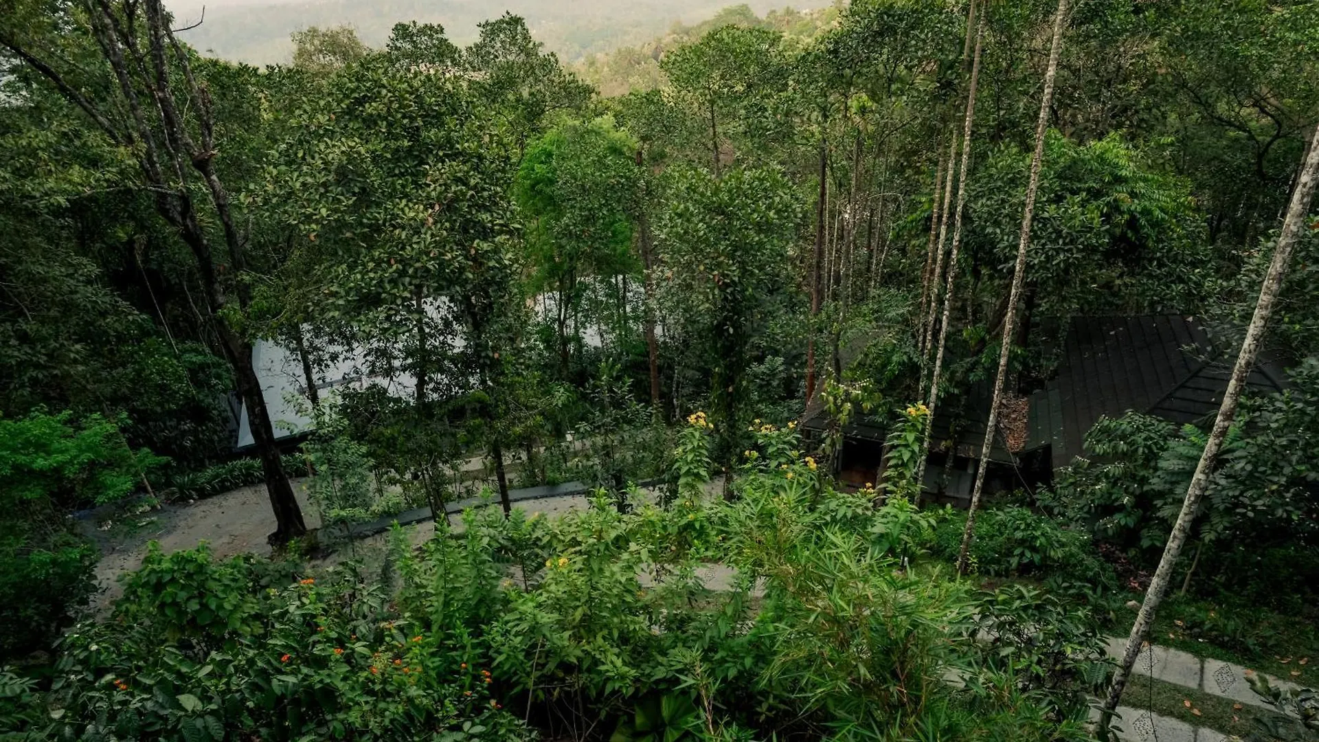 Hotel The Hive, Wayanad