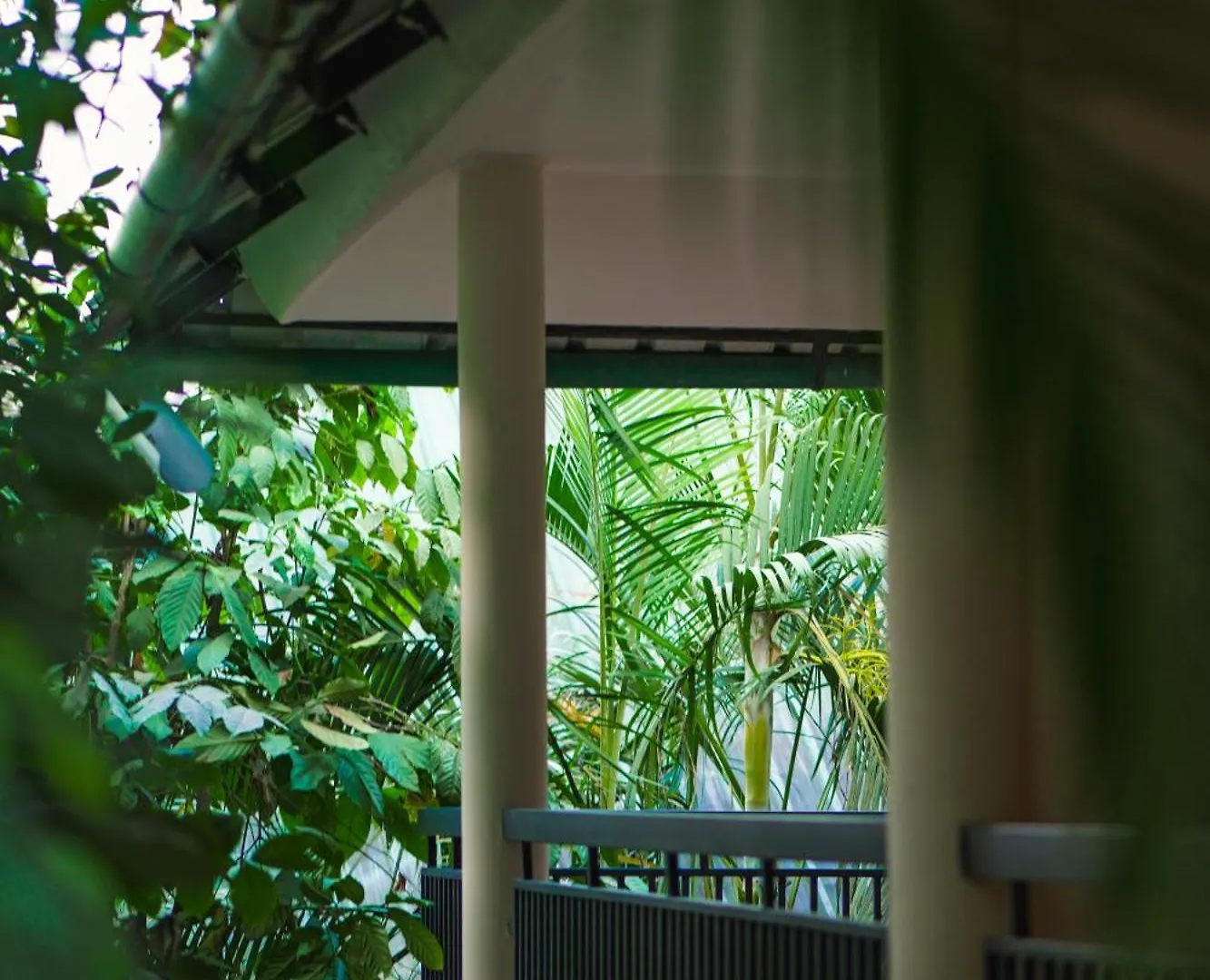 The Hive, Wayanad Hotel