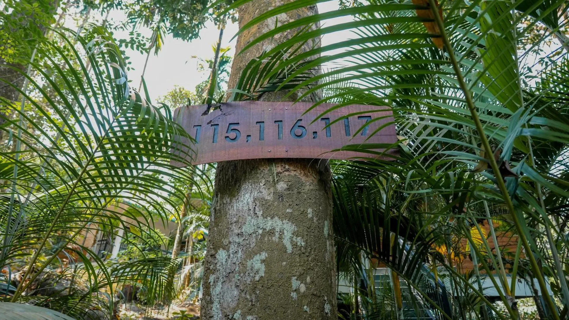 The Hive, Wayanad Hotel 5*,  India