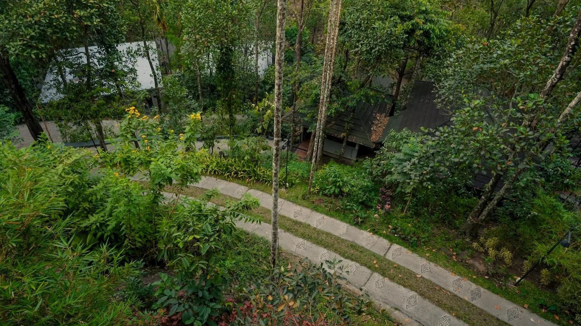 *****  The Hive, Wayanad Hotel India
