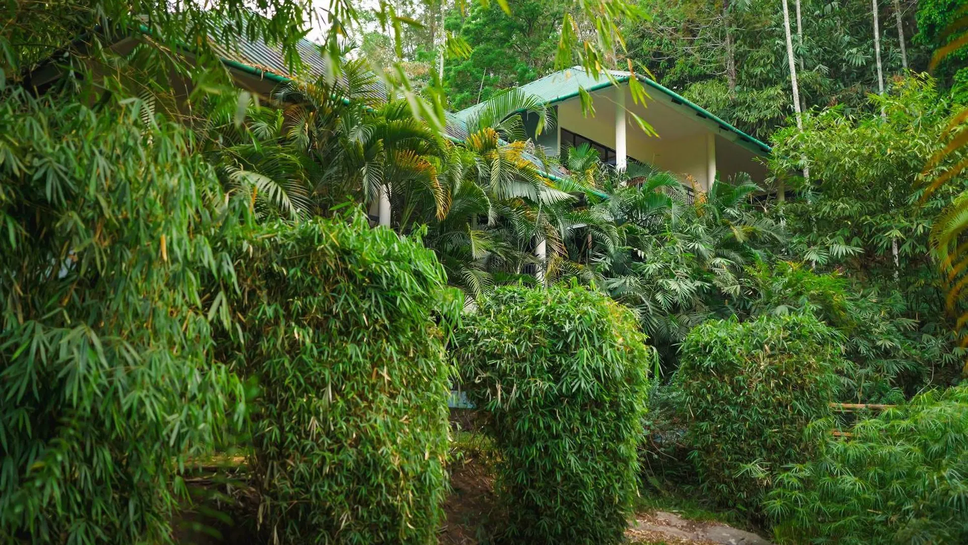 The Hive, Wayanad Hotel